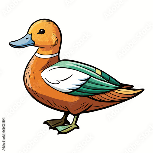 duck isolated on white