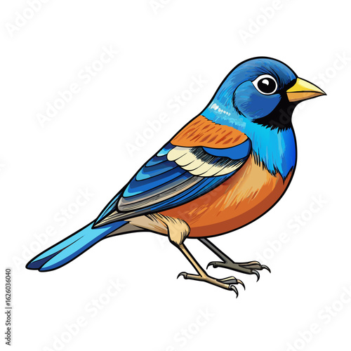 blue tit isolated on white background