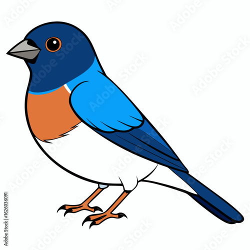 blue bird on a white background