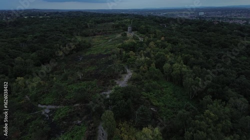 4K Aerial View of large forest landscape following path trail to end at windmill