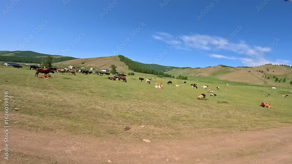 POV horseback riding on Mongolian steppe near Ulaanbaatar — summer trail experience through vast green landscapes POV horseback riding on Mongolian steppe near Ulaanbaatar — summer trail experience through vast green landscapes