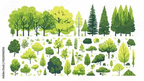 Forest of Life: A collection of illustrated trees of various species, showcasing the beauty of nature and the diversity of life, perfect for eco-friendly design and conservation projects.