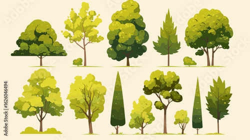 Various Trees Collection: A vibrant collection of trees in diverse shapes and sizes, illustrating a natural and visually appealing array of arboreal forms.