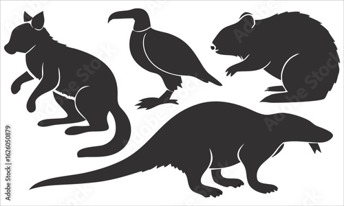 Silhouettes of Australian animals on a white background Keywords: kangaroo, koala, wombat