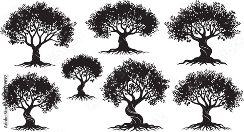 Collection of Seven Stylized Black Olive Trees with Twisted Trunks and Roots silhouette