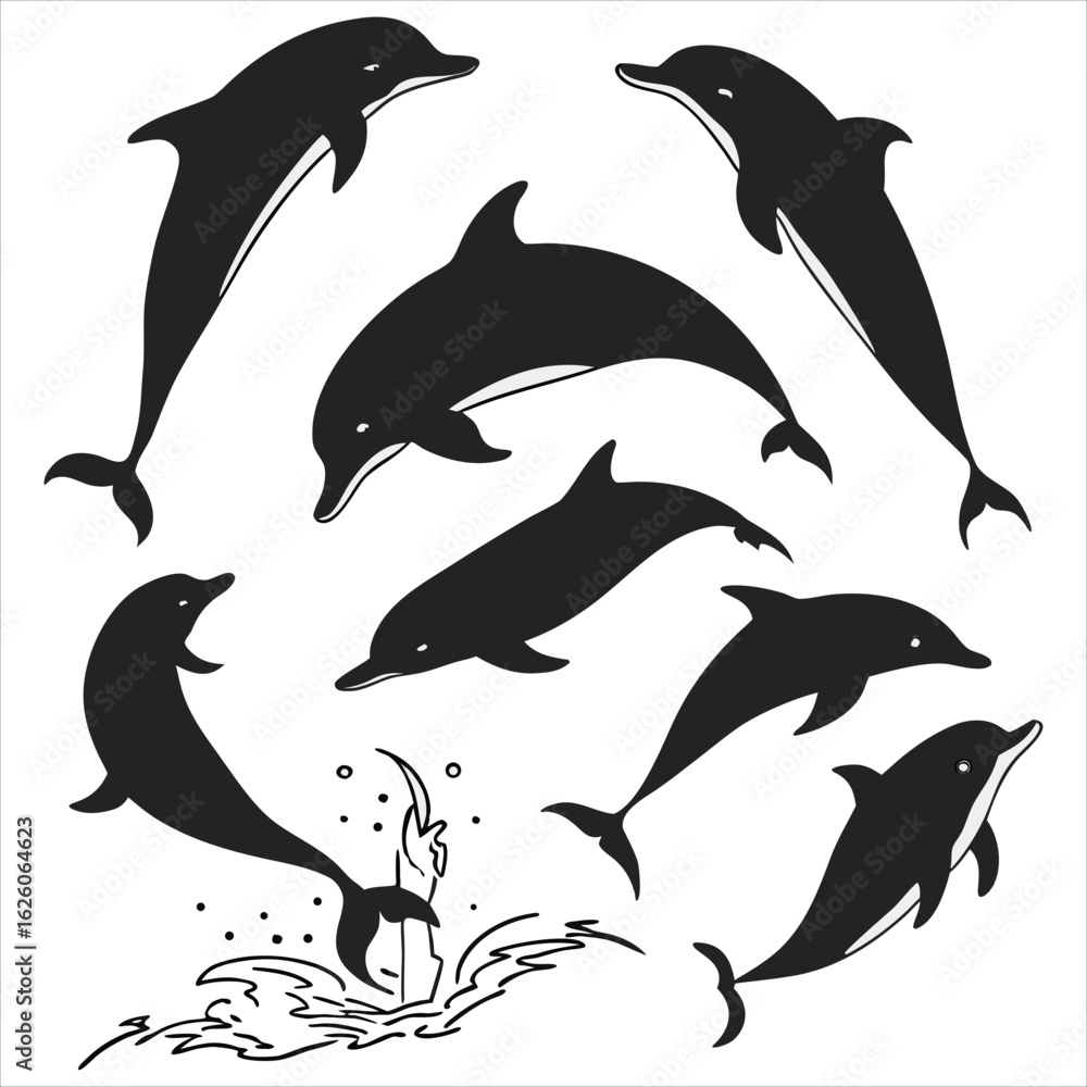 Naklejka premium Dolphin vector. Dolphin cartoon sea animal icon. Bottlenose Dolphin. Dolphin peeking out of water. Dolphin Isolated. Dolphin jump out of the water in sea. Dolphins Jumping From The Sea. 