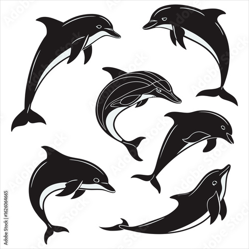  Dolphin vector. Dolphin cartoon sea animal icon. Bottlenose Dolphin. Dolphin peeking out of water. Dolphin Isolated. Dolphin jump out of the water in sea. Dolphins Jumping From The Sea. 