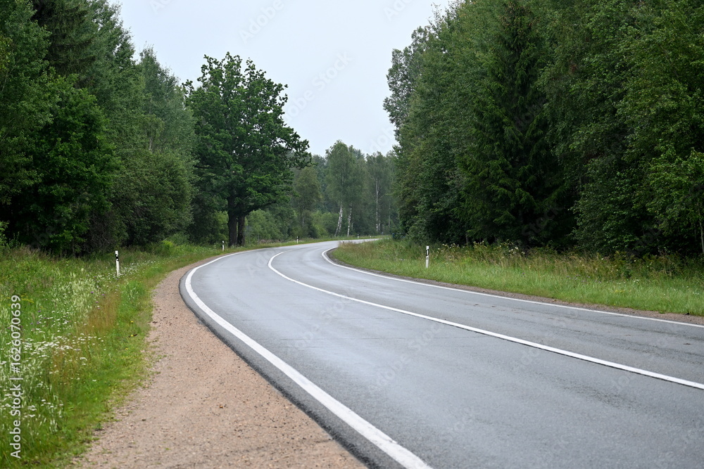 Fototapeta premium Landscape asphalt forest road in summer time in Latvia