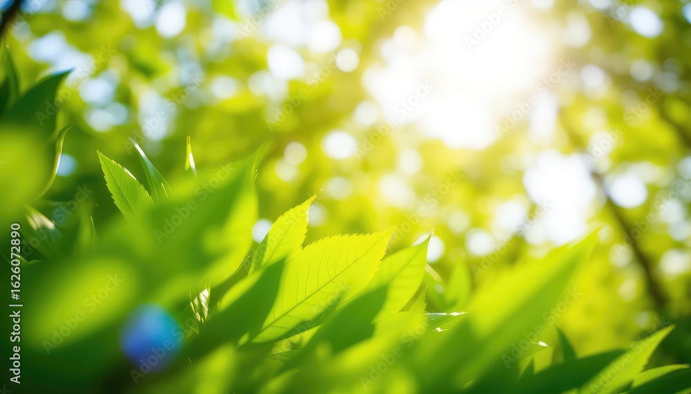 Obraz premium Sunlight Streaming Through Fresh Green Leaves Creating a Beautiful and Serene Natural Background