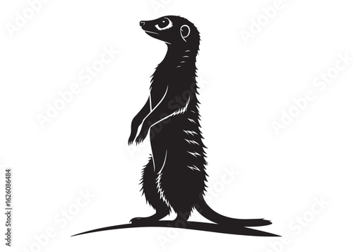 Vector Silhouette of a Standing Meerkat in Watchful Pose on Clean White Background.