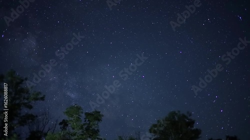Milky way and shooting stars appearing over trees