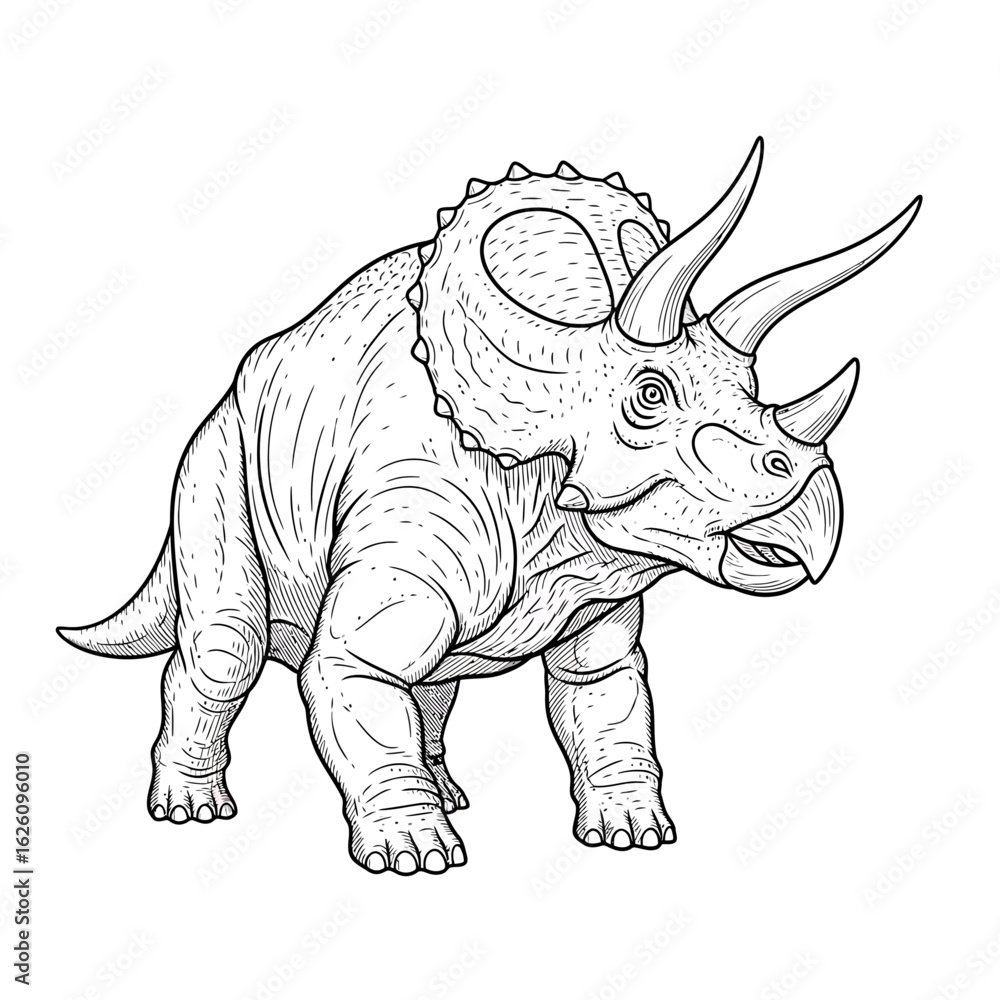 Fototapeta premium Triceratops Dinosaur Line Art Illustration