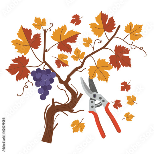 Vineyard vine with shears, grape clusters, and falling leaves
