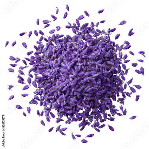 Dried lavender petals, vibrant purple, scattered