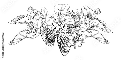 Strawberry berries growing with leaves tendrils hand drawn in vector ink, ripe forest garden harvest. Isolated botanical illustration garland. Dessert menu, food packaging, farmers market, cosmetics