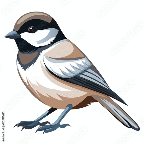 blue tit on white background