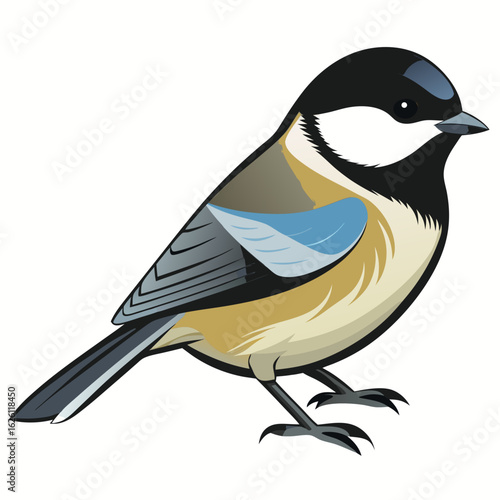 blue tit isolated on white