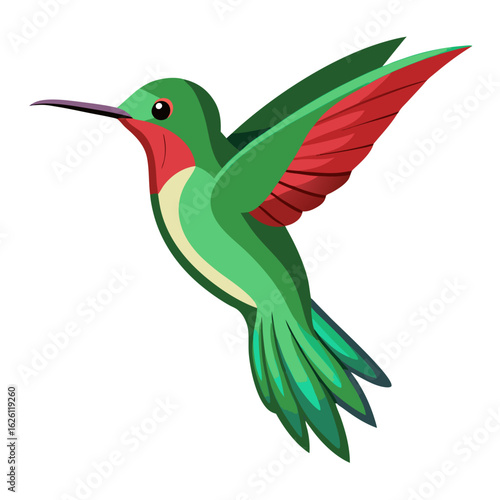 hummingbird and flowers