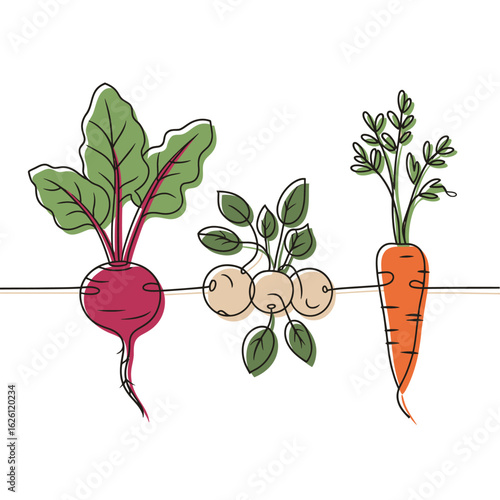 Artistic vegetable garden illustration with beet turnips and carrots healthy eating concept with line art style vegetables
