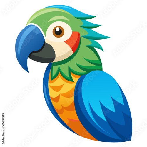 parrot on a white background