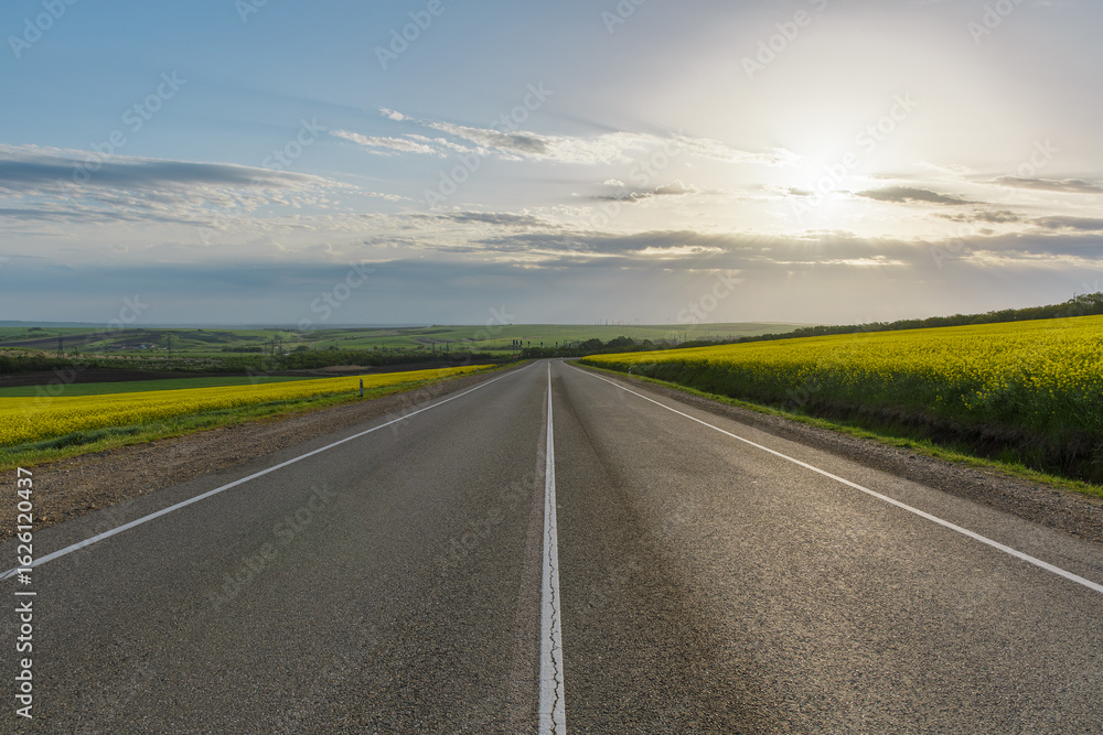 Fototapeta premium road in a field of yellow flowers.