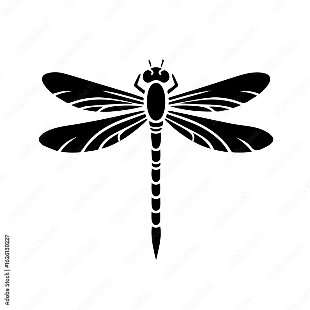 Fototapeta premium dragonfly on white background