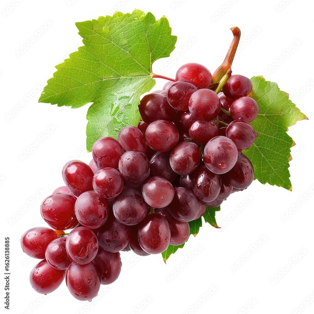 Fototapeta premium Red grapes on vine with leaves
