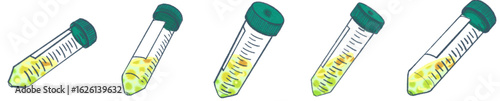 Transparent laboratory centrifuge tubes standing upright in rows, plastic sample vials for scientific research and chemical analysis