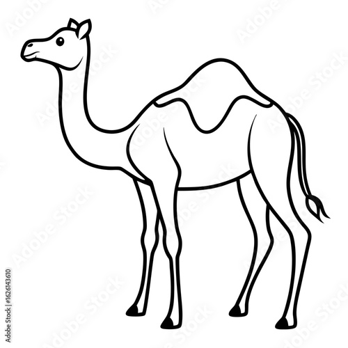 camel cartoon illustration