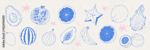 Set of tropical fruits and decorative botanical elements in hand-drawn line art style. Includes mango, fig, lime, grapefruit, banana, orange, lemon, coconut, and other exotic fruits.