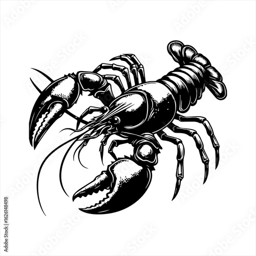 Classic Black and White Lobster or Crayfish Illustration.