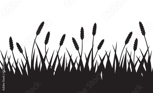 Tall grass and reeds silhouette