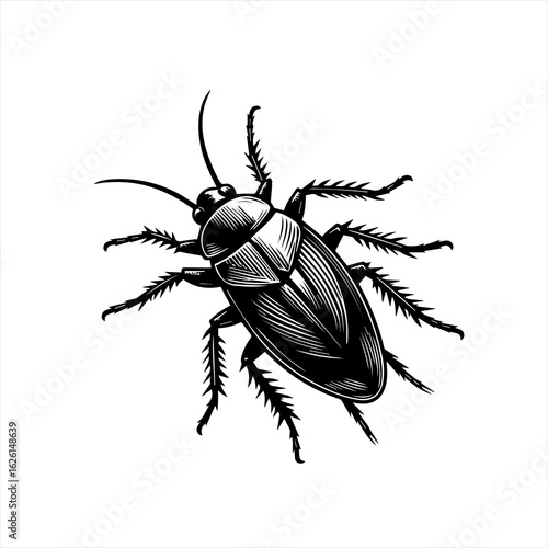Detailed Black and White Cockroach Vector Illustration.
