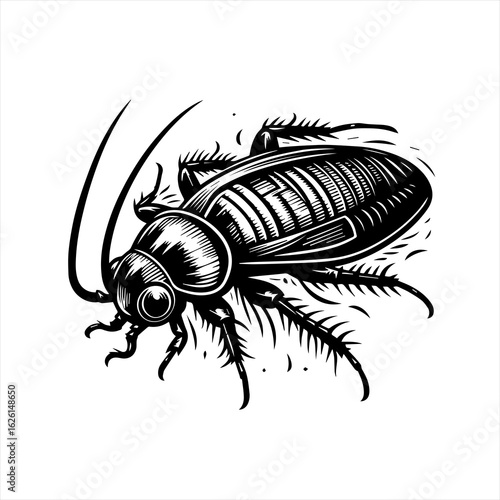 Detailed Black and White Cockroach Illustration.