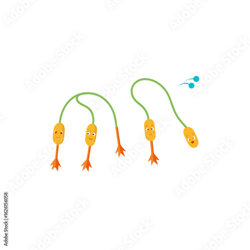  different kelp jump rope toy set   