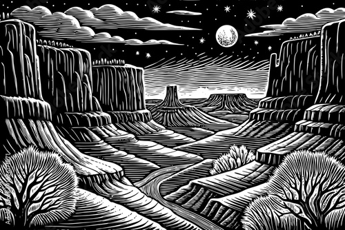 Moonlit Grand Canyon landscape with desert shadows, cliffs, and stars, black and white line art illustration