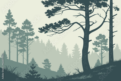 Dark blue pine forest silhouette shrouded in light fog