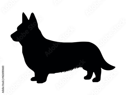 Corgi dog silhouette. Vector illustration silhouette of a Corgi dog on a white background. Pets
