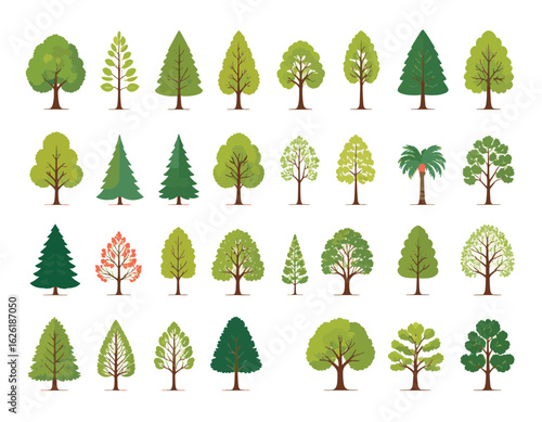 Variety of Trees: A vibrant collection showcasing a variety of trees, from evergreens to deciduous varieties, with each illustration displaying the unique form and texture of its foliage.