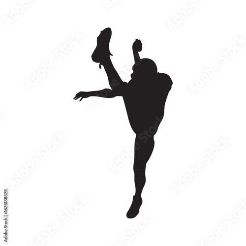 Dynamic High Kick Silhouette Action