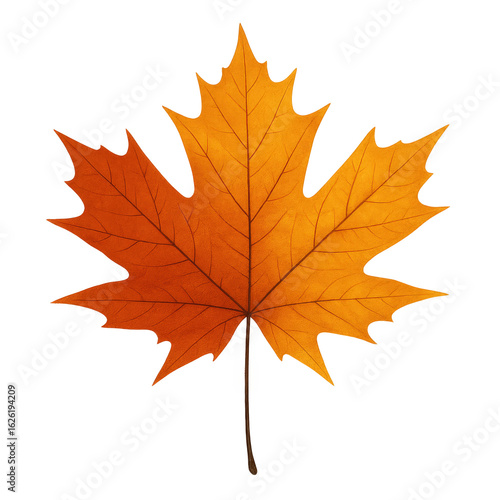 Wallpaper Mural A Vibrant Orange Autumn Leaf Glowing Against a Soft Background, Capturing the Essence of Fall with its Intricate Veins and Lustrous Color. Torontodigital.ca