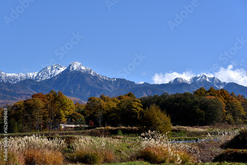錦秋の八ヶ岳　冠雪と紅葉の競演