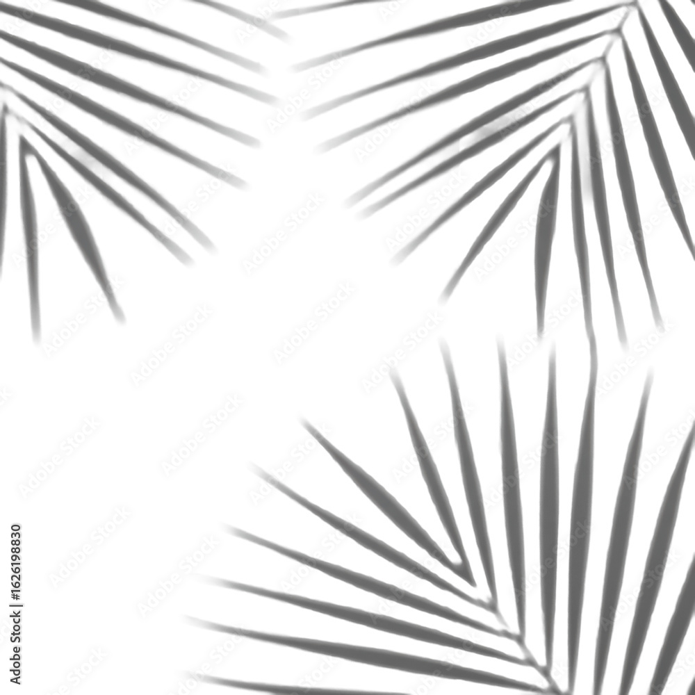 Obraz premium Crisp, graphic shadows of tropical palm leaves with elegant sweeping lines on a pristine, transparent background, concept of minimalist elegance and tranquility