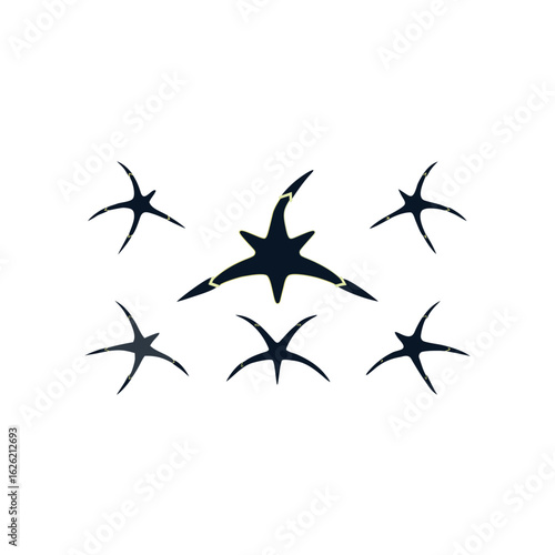  different storm starfish glider set