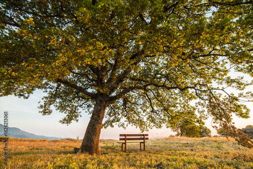 bench in autumn park