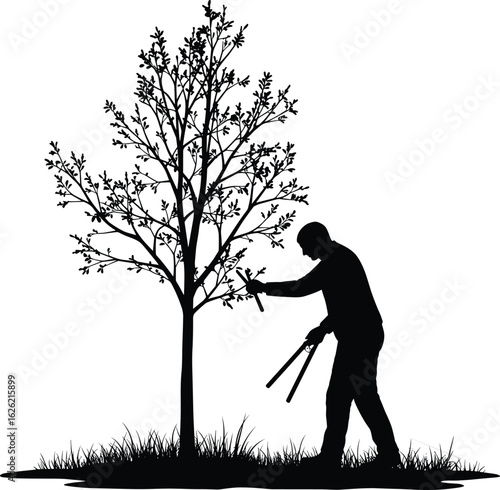 A silhouette of a gardener trimming a tree with shears in a vector illustration on a white background.