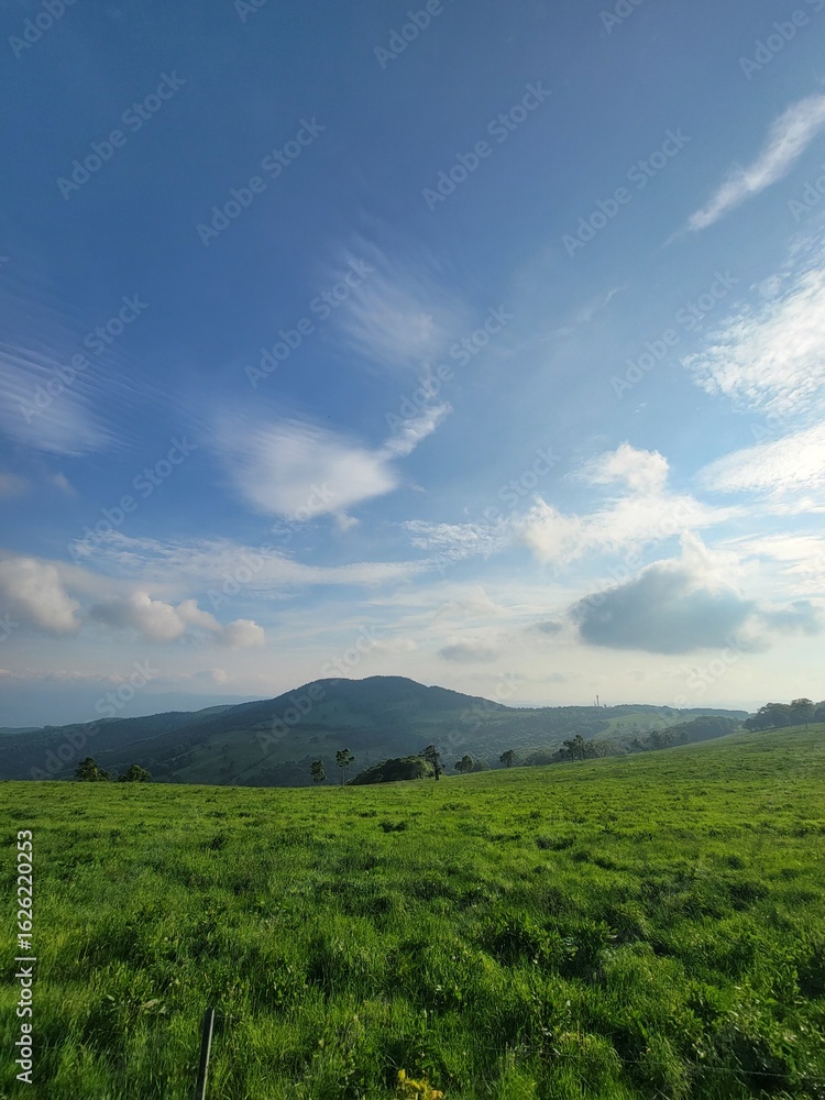 Fototapeta premium Scenic landscape featuring lush green meadows meeting a vibrant blue sky with soft, white clouds.