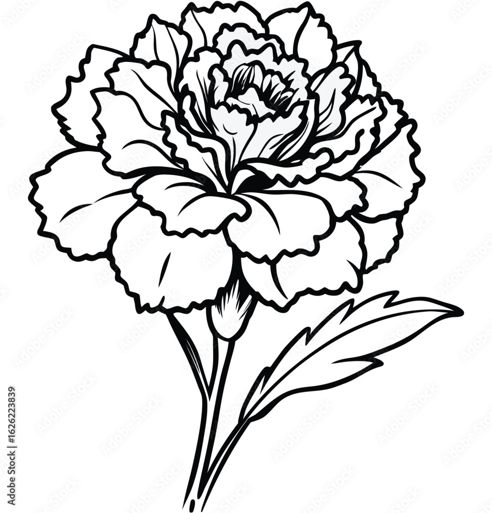 Obraz premium Hand drawn vector poppy flower isolated on white background floral illustration design