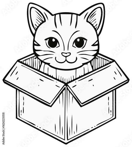 Cute cat peeking out of a cardboard box drawing illustration.