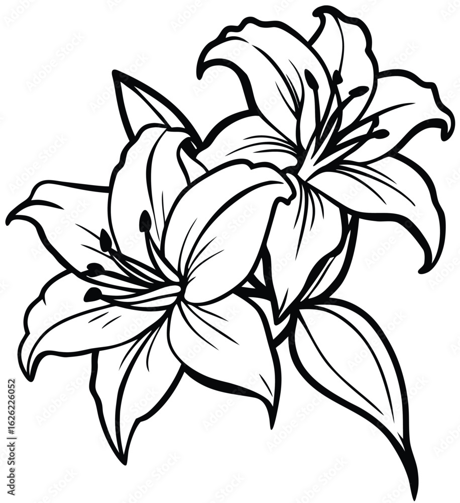 Fototapeta premium Black and white lily flower vector illustration isolated on white, a vintage floral design element